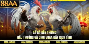 Đá Gà Bên Thomo - Đấu Trường Gà Chọi 88AA Đầy Kịch Tính