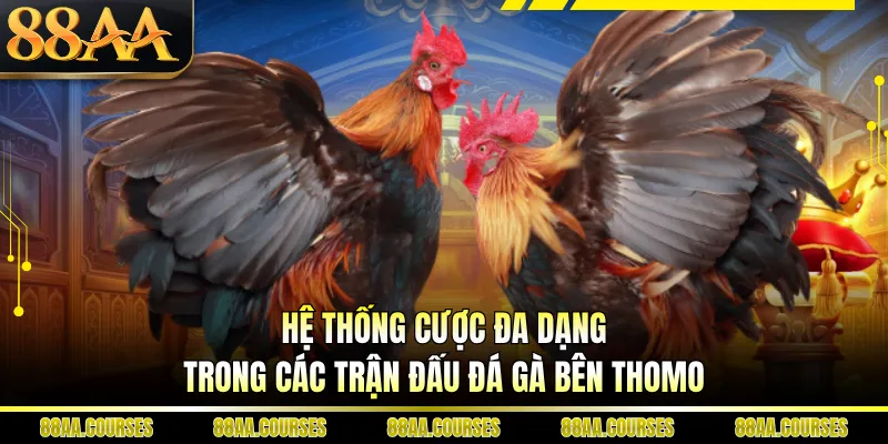 Hệ thống cược đa dạng trong các trận đấu đá gà bên Thomo
