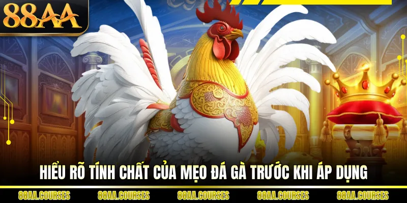 Hiểu rõ tính chất của mẹo đá gà trước khi áp dụng