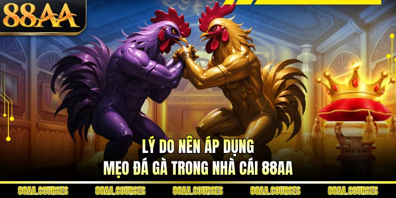 Lý do nên áp dụng mẹo đá gà trong nhà cái 88AA
