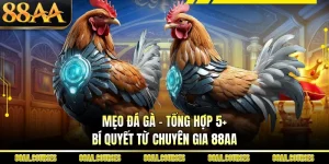 Mẹo Đá Gà - Tổng Hợp 5+ Bí Quyết Từ Chuyên Gia 88AA