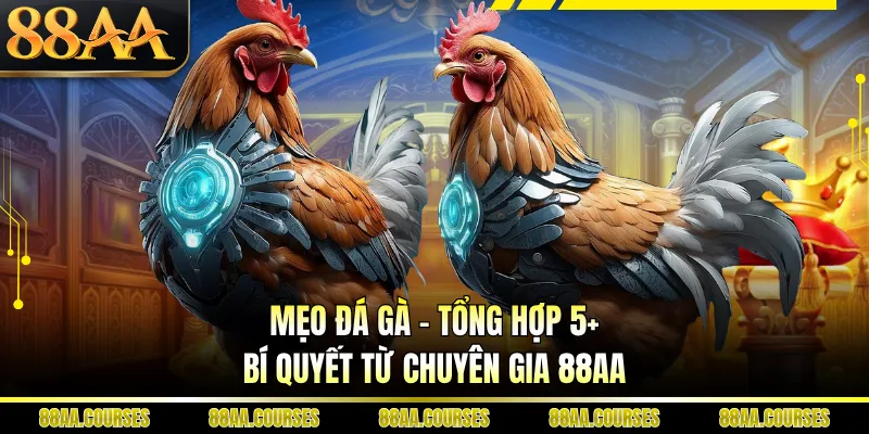 Mẹo Đá Gà - Tổng Hợp 5+ Bí Quyết Từ Chuyên Gia 88AA