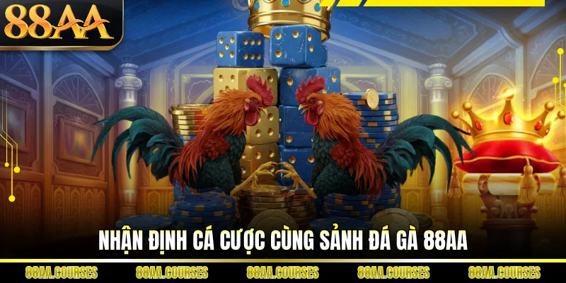 Nhận định cá cược cùng sảnh đá gà 88AA