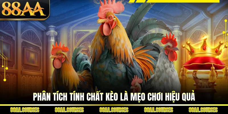 Phân tích tính chất kèo là mẹo chơi hiệu quả